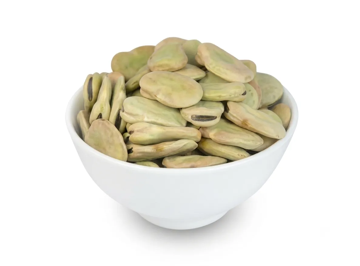 Fava Beans Habas_resultado
